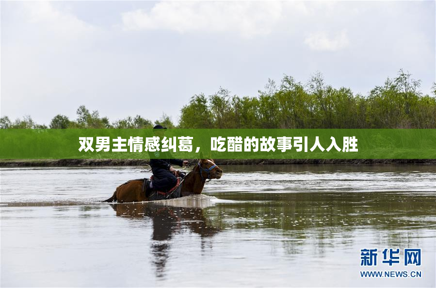 双男主情感纠葛，吃醋的故事引人入胜