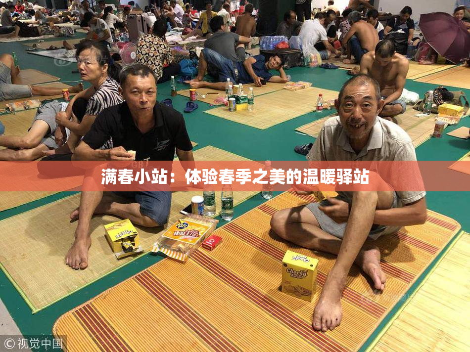 满春小站：体验春季之美的温暖驿站
