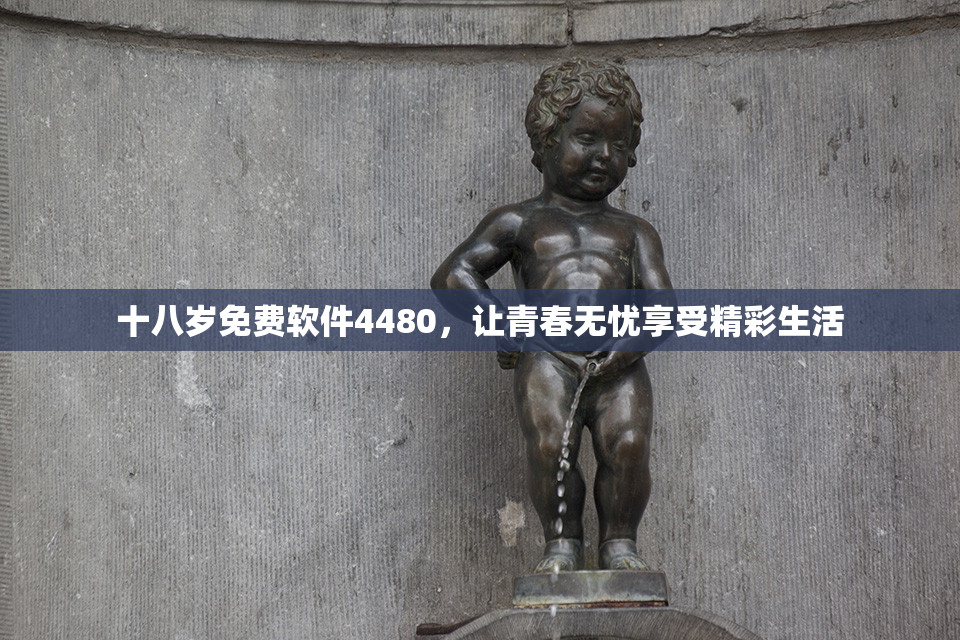 十八岁免费软件4480，让青春无忧享受精彩生活
