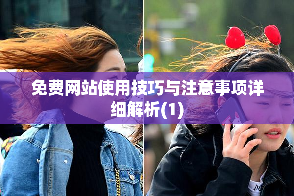 免费网站使用技巧与注意事项详细解析(1)