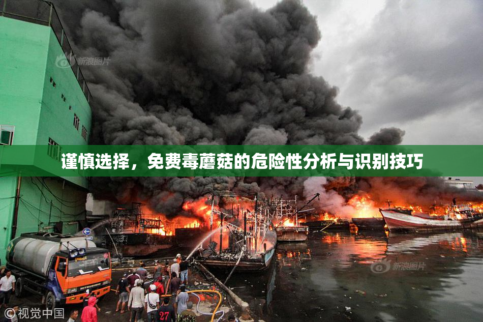 谨慎选择，免费毒蘑菇的危险性分析与识别技巧