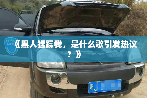 《黑人猛躁我，是什么歌引发热议？》