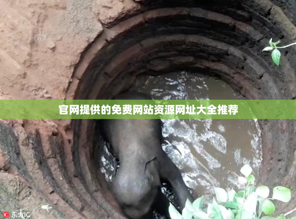 官网提供的免费网站资源网址大全推荐