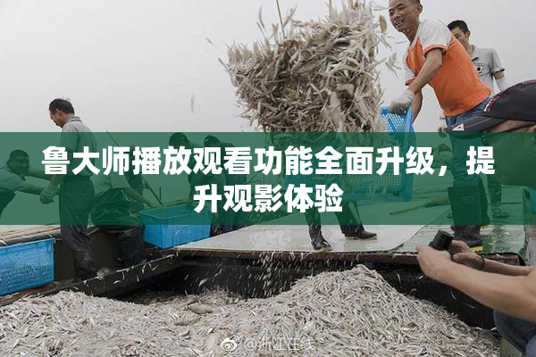 鲁大师播放观看功能全面升级，提升观影体验