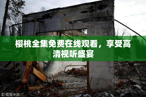 樱桃全集免费在线观看，享受高清视听盛宴