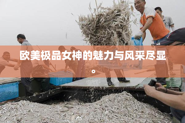 欧美极品女神的魅力与风采尽显。