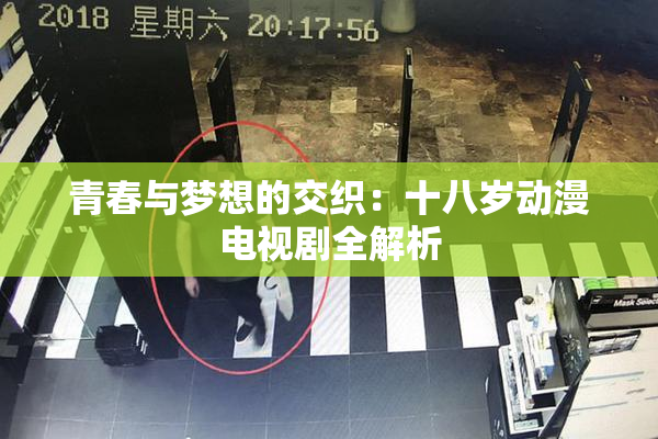 青春与梦想的交织：十八岁动漫电视剧全解析