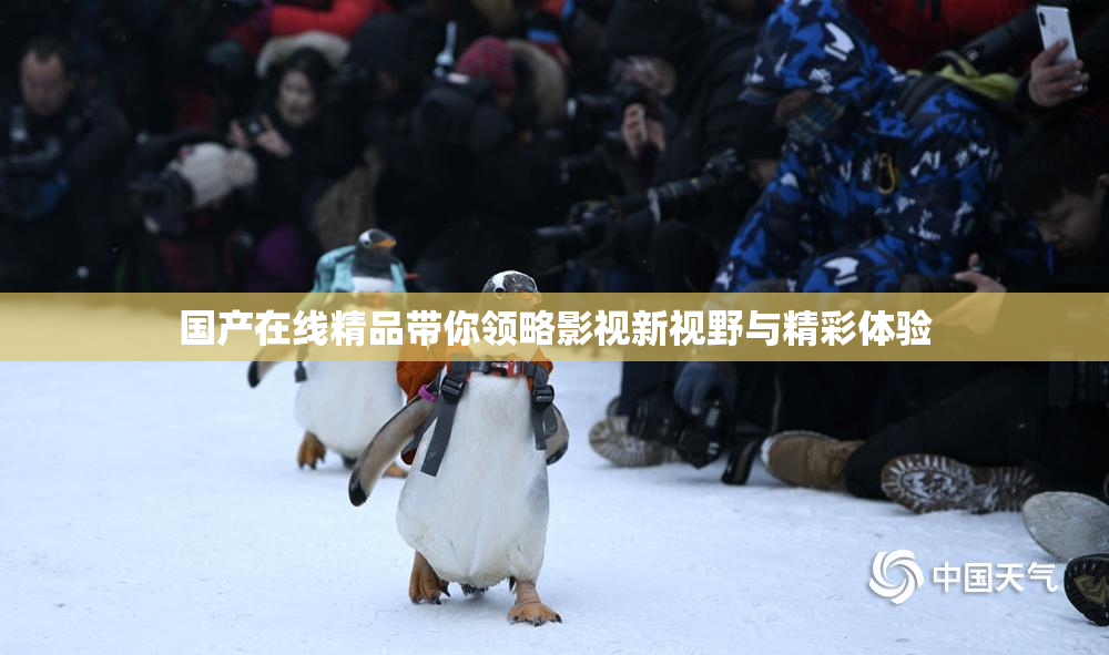 国产在线精品带你领略影视新视野与精彩体验