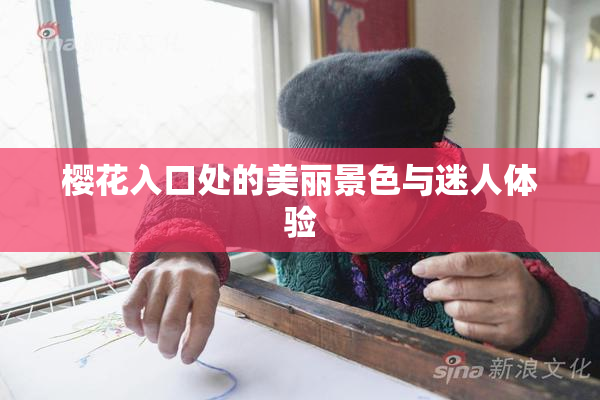 樱花入口处的美丽景色与迷人体验