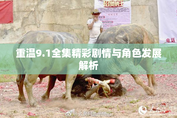 重温9.1全集精彩剧情与角色发展解析