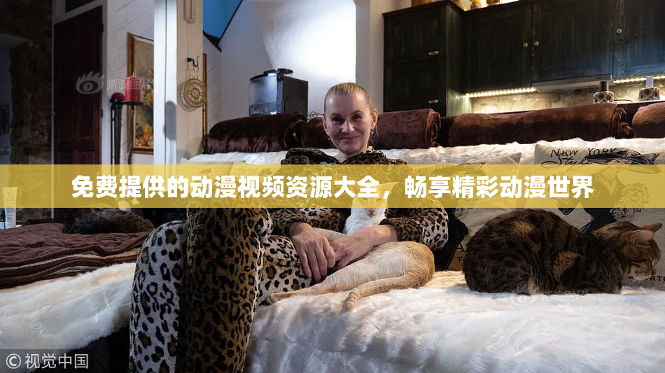 免费提供的动漫视频资源大全，畅享精彩动漫世界