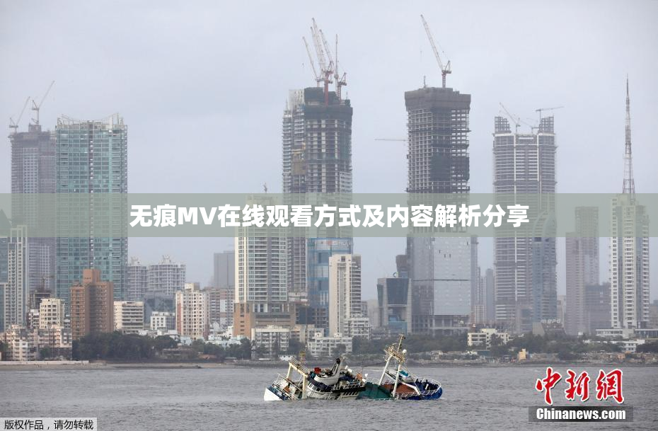 无痕MV在线观看方式及内容解析分享
