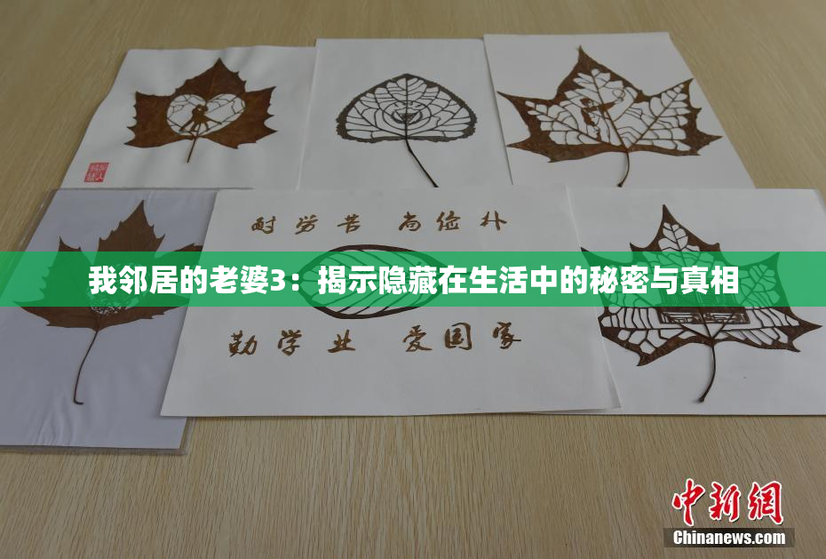 我邻居的老婆3：揭示隐藏在生活中的秘密与真相