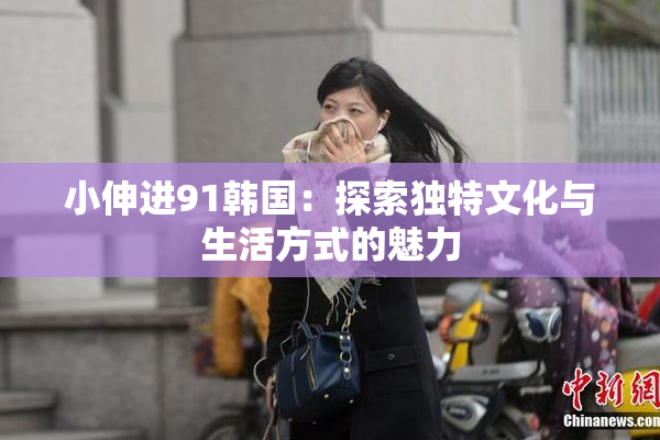 小伸进91韩国：探索独特文化与生活方式的魅力