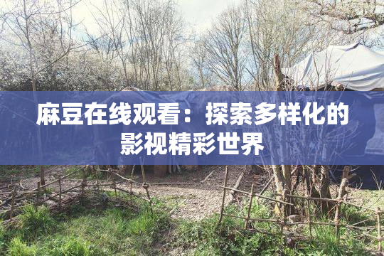 麻豆在线观看：探索多样化的影视精彩世界