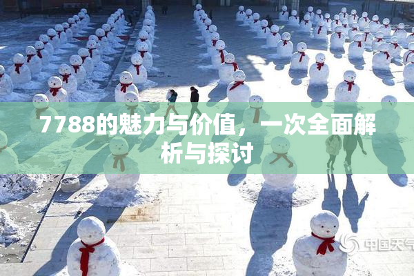 7788的魅力与价值，一次全面解析与探讨