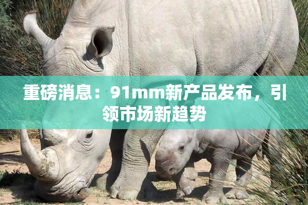 重磅消息：91mm新产品发布，引领市场新趋势