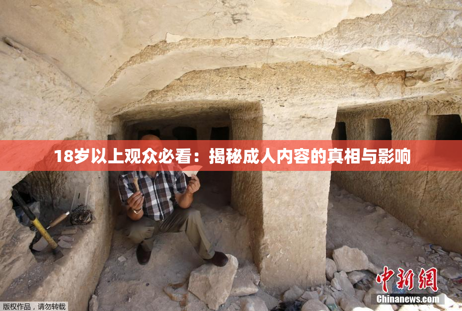 18岁以上观众必看：揭秘成人内容的真相与影响