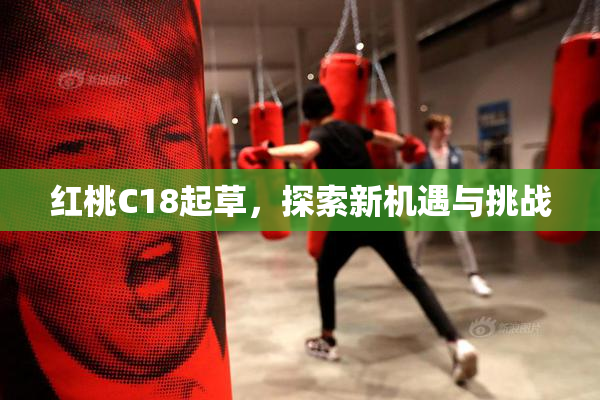 红桃C18起草，探索新机遇与挑战