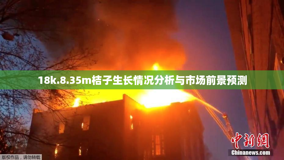 18k.8.35m桔子生长情况分析与市场前景预测