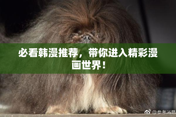 必看韩漫推荐，带你进入精彩漫画世界！