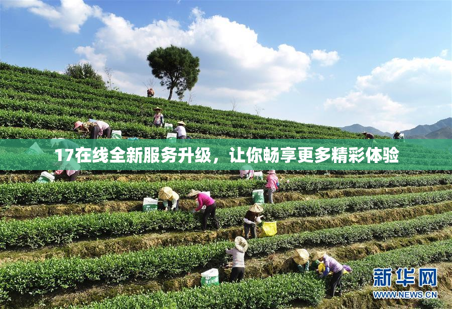 17在线全新服务升级，让你畅享更多精彩体验