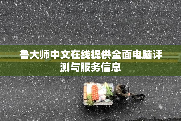鲁大师中文在线提供全面电脑评测与服务信息