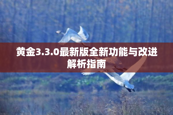 黄金3.3.0最新版全新功能与改进解析指南