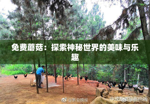 免费蘑菇：探索神秘世界的美味与乐趣