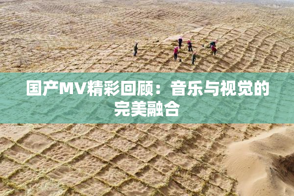国产MV精彩回顾：音乐与视觉的完美融合