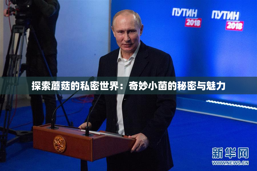 探索蘑菇的私密世界：奇妙小菌的秘密与魅力