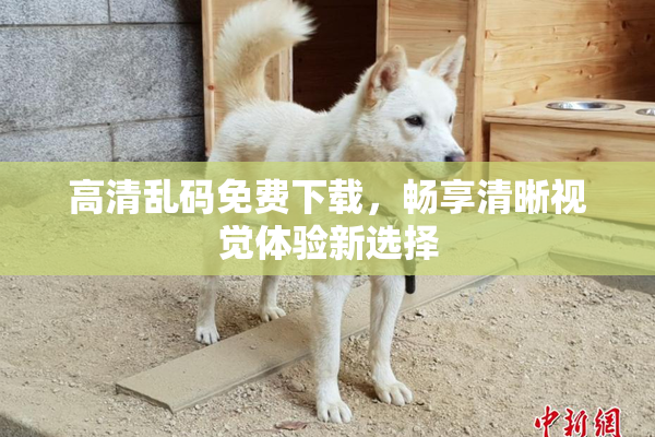 高清乱码免费下载，畅享清晰视觉体验新选择