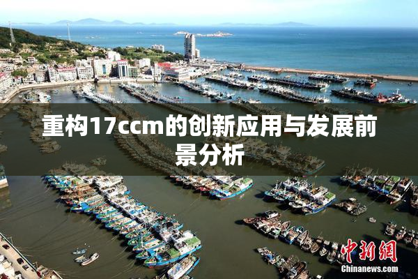 重构17ccm的创新应用与发展前景分析