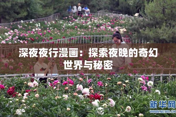 深夜夜行漫画：探索夜晚的奇幻世界与秘密