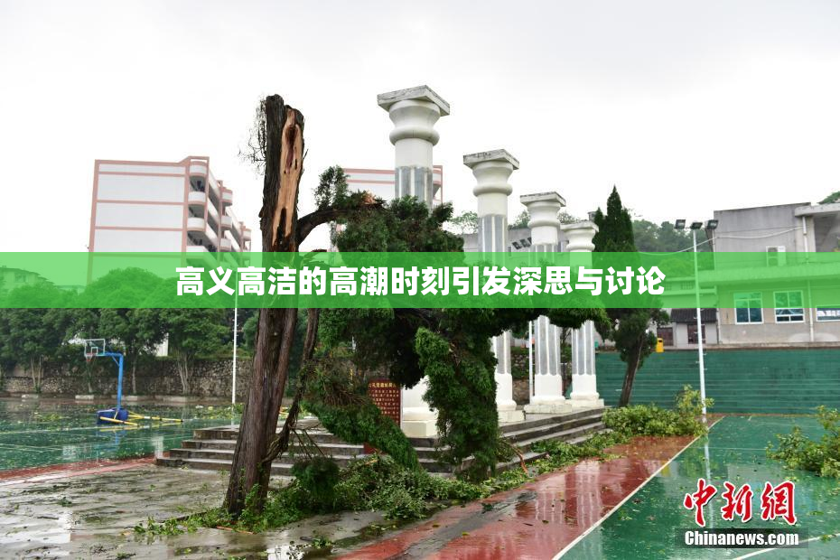 高义高洁的高潮时刻引发深思与讨论