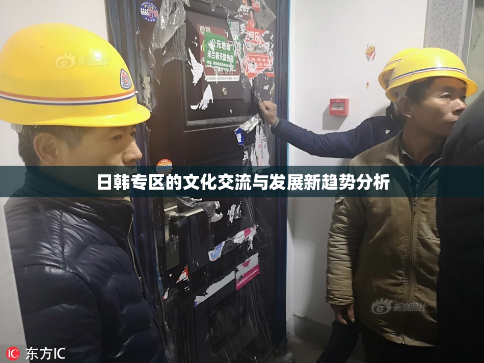 日韩专区的文化交流与发展新趋势分析