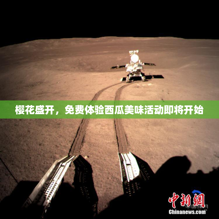 樱花盛开，免费体验西瓜美味活动即将开始