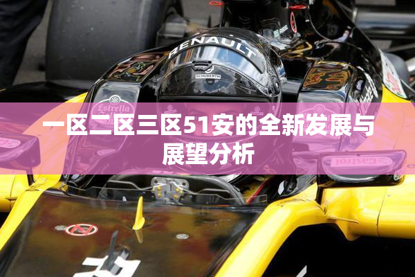 一区二区三区51安的全新发展与展望分析