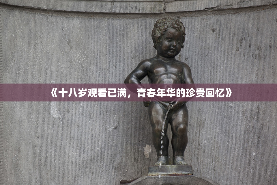 《十八岁观看已满，青春年华的珍贵回忆》