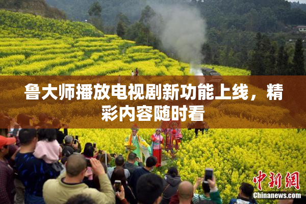 鲁大师播放电视剧新功能上线，精彩内容随时看