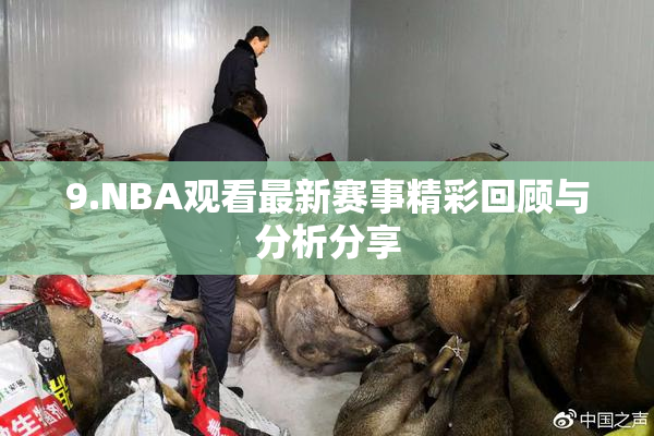 9.NBA观看最新赛事精彩回顾与分析分享