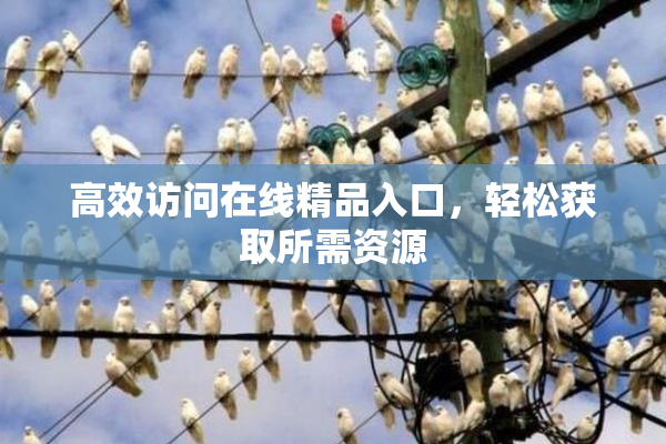 高效访问在线精品入口，轻松获取所需资源