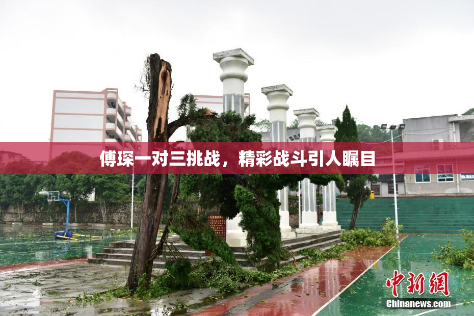傅琛一对三挑战，精彩战斗引人瞩目