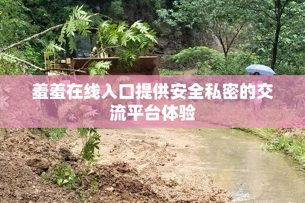 羞羞在线入口提供安全私密的交流平台体验