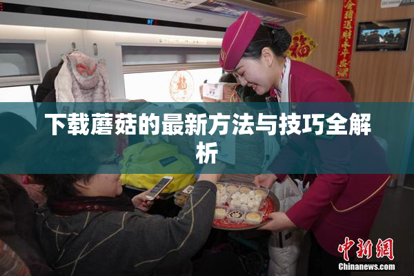 下载蘑菇的最新方法与技巧全解析