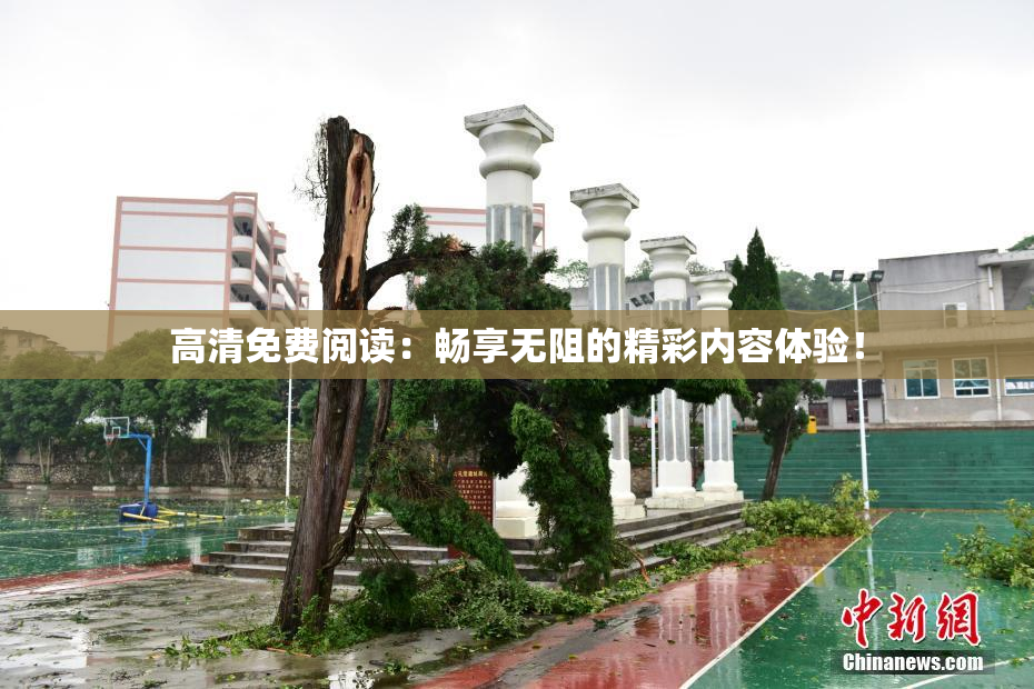 高清免费阅读：畅享无阻的精彩内容体验！