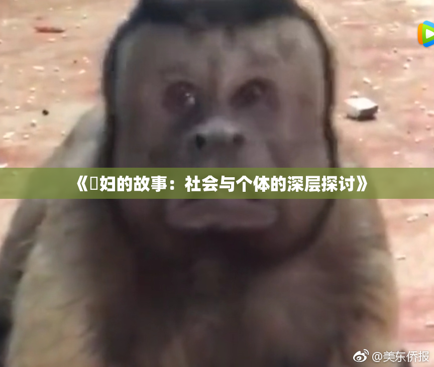 《婬妇的故事：社会与个体的深层探讨》