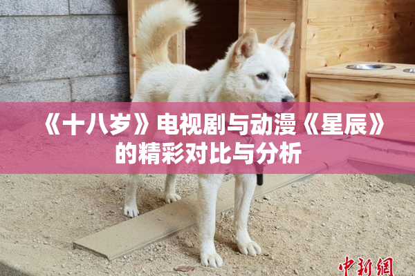 《十八岁》电视剧与动漫《星辰》的精彩对比与分析