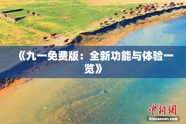 《九一免费版：全新功能与体验一览》