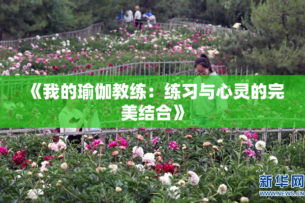 《我的瑜伽教练：练习与心灵的完美结合》